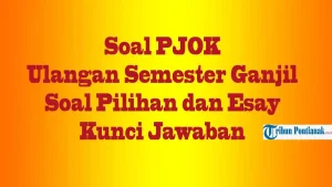 5 Fakta Mengejutkan dari Contoh Soal 50 Penjaskes Kelas 10 Semester 2 Beserta Jawabannya yang Wajib Tahu