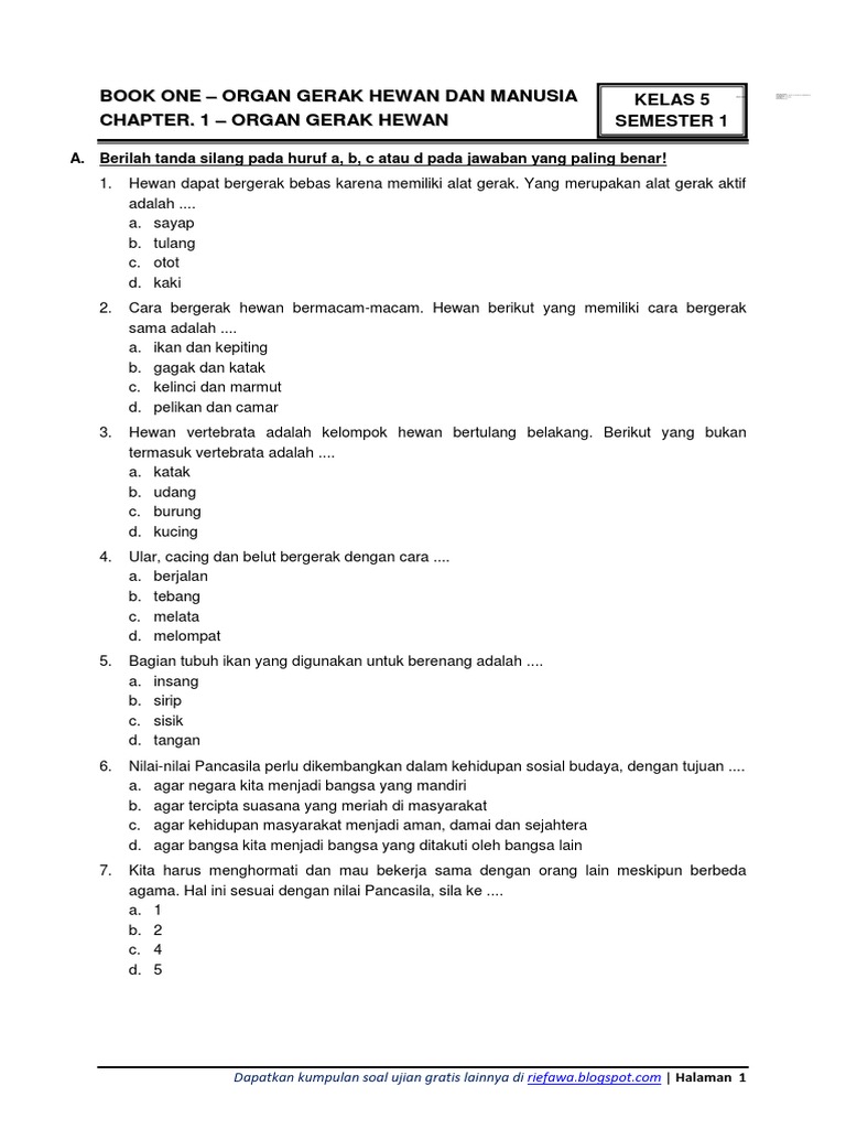 Ternyata Ini Rahasia Menaklukkan Contoh Soal Tema 1 Sub 2 Kelas 5 Sub 3 yang Sering Bikin Siswa Bingung